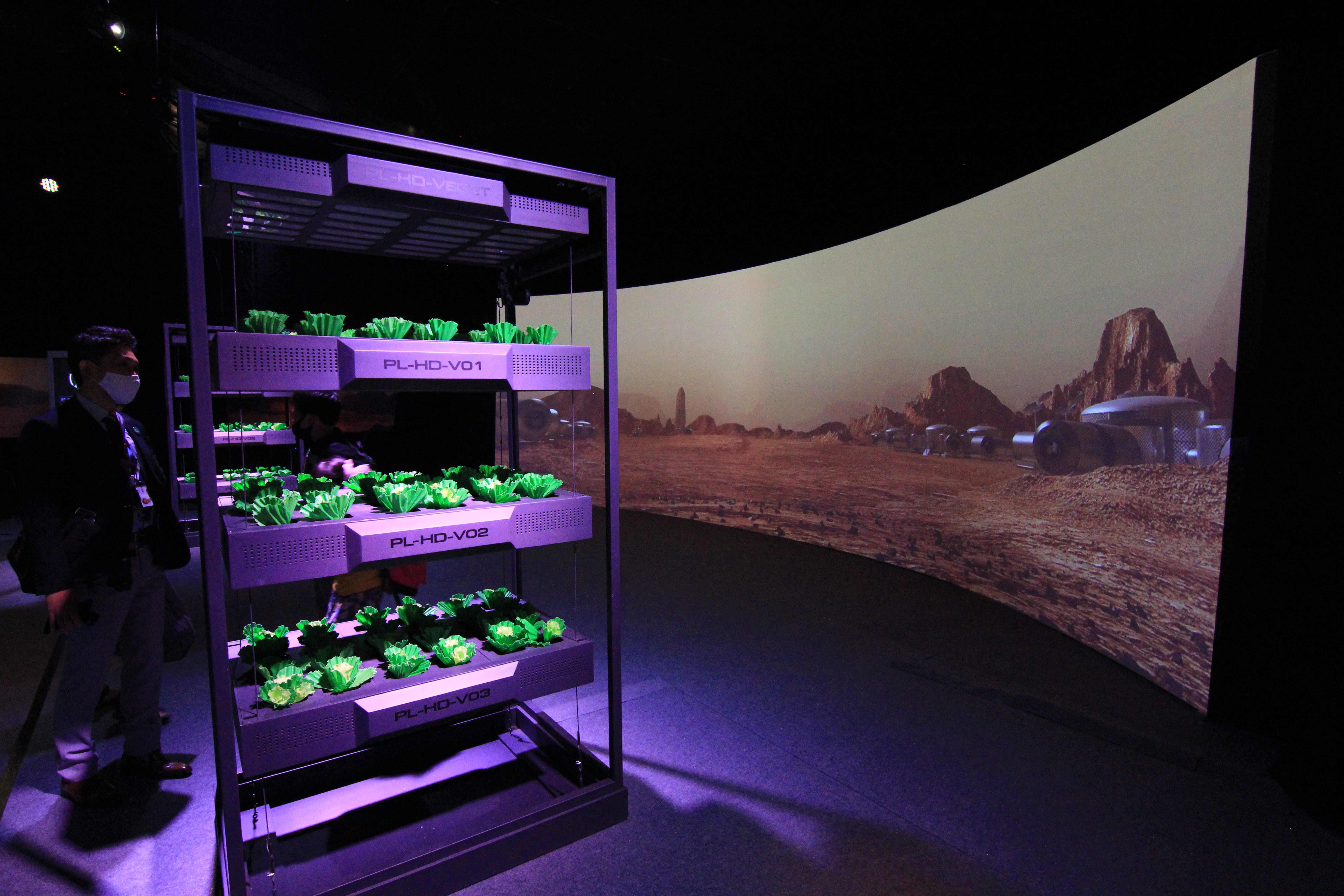 A Day on Mars exhibit